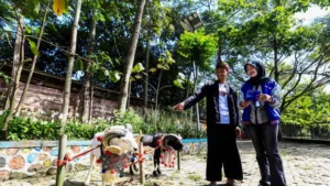 BRI Peduli: Pelatihan Peternak Domba Garut Raih Sukses Iduladha 2025