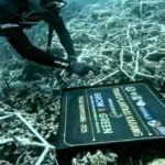 BRI Tanam Jutaan Pohon: Lestarikan Bumi di Hari Lingkungan Hidup