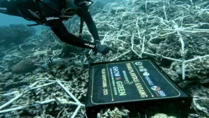 BRI Tanam Jutaan Pohon: Lestarikan Bumi di Hari Lingkungan Hidup