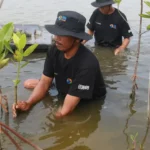 BRI & Generasi Muda: Selamatkan Pesisir Mamuju & Tuban