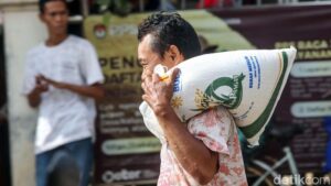 Bansos Beras 2025: Penerima Berkurang, Apa Penyebabnya?