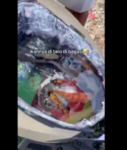 Modifikasi Yamaha Gear 125: Sensasi Mancing Keliling Anti Mainstream