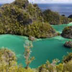 Raja Ampat: Dive Master Pilih Alam, Tolak Kekayaan Nikel