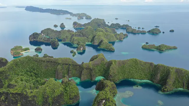 Raja Ampat: Transparansi Tambang, Solusi Atasi Kritik Publik