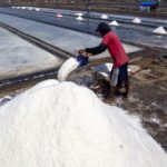 Rp750 Miliar Bangun Sentra Garam Raksasa di Pulau Rote