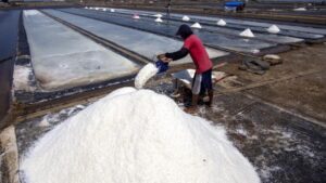 Rp750 Miliar Bangun Sentra Garam Raksasa di Pulau Rote