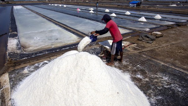 Rp750 Miliar Bangun Sentra Garam Raksasa di Pulau Rote