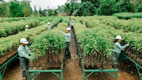 Strategi MIND ID: Atasi Krisis Sampah Plastik Indonesia