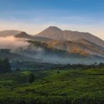 Denda 5 Kali Lipat! Pendaki Ilegal Gunung Gede Pangrango Di-blacklist