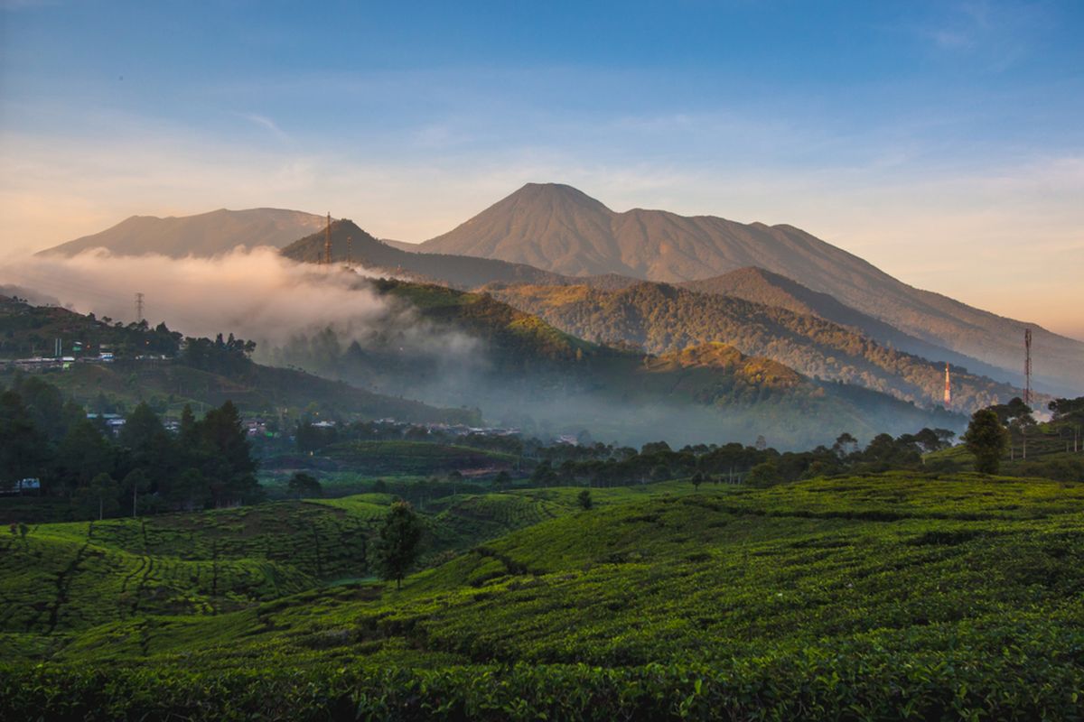 Denda 5 Kali Lipat! Pendaki Ilegal Gunung Gede Pangrango Di-blacklist