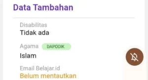 PPG 2025: Nomor ID Hilang? Solusi Resmi & Cepat Ditemukan