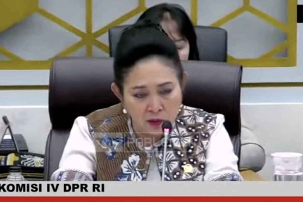 Skandal Beras Impor Bulog: DPR Temukan Kutu dan Bau Busuk